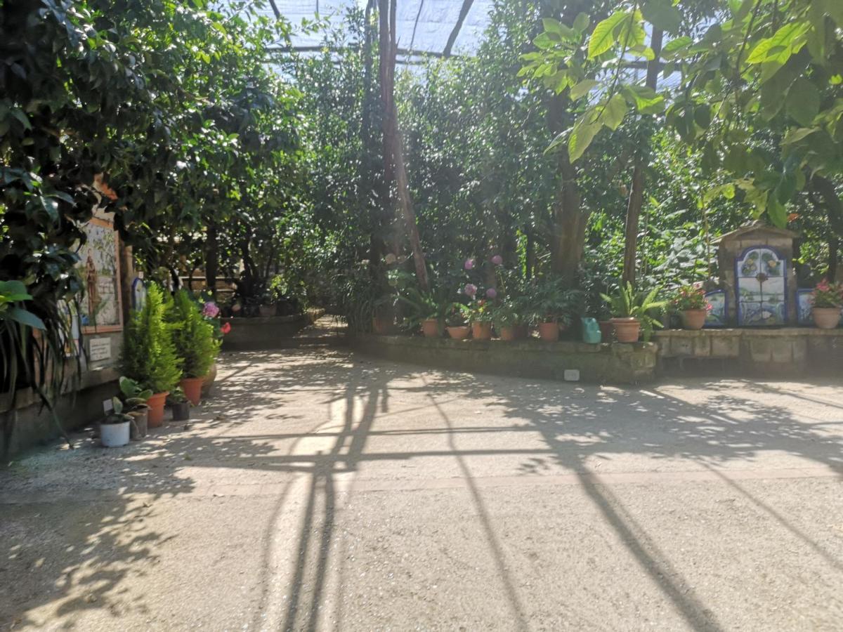 Agriturismo Il Giardino Di Vigliano Massa Lubrense Eksteriør billede