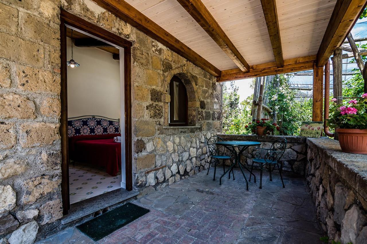 Agriturismo Il Giardino Di Vigliano Massa Lubrense Eksteriør billede