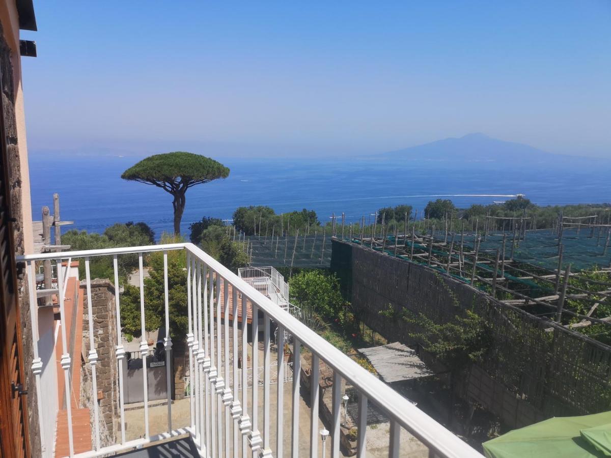 Agriturismo Il Giardino Di Vigliano Massa Lubrense Eksteriør billede