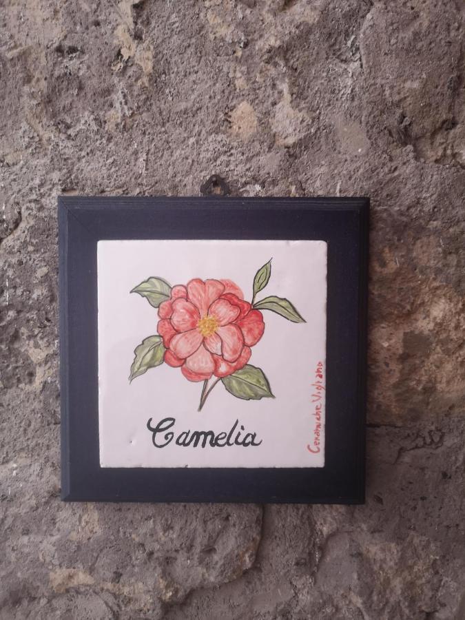 Agriturismo Il Giardino Di Vigliano Massa Lubrense Eksteriør billede