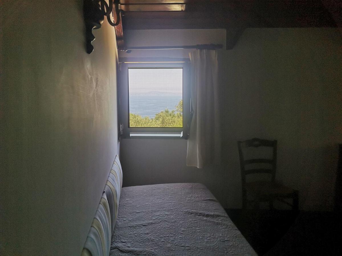 Agriturismo Il Giardino Di Vigliano Massa Lubrense Eksteriør billede