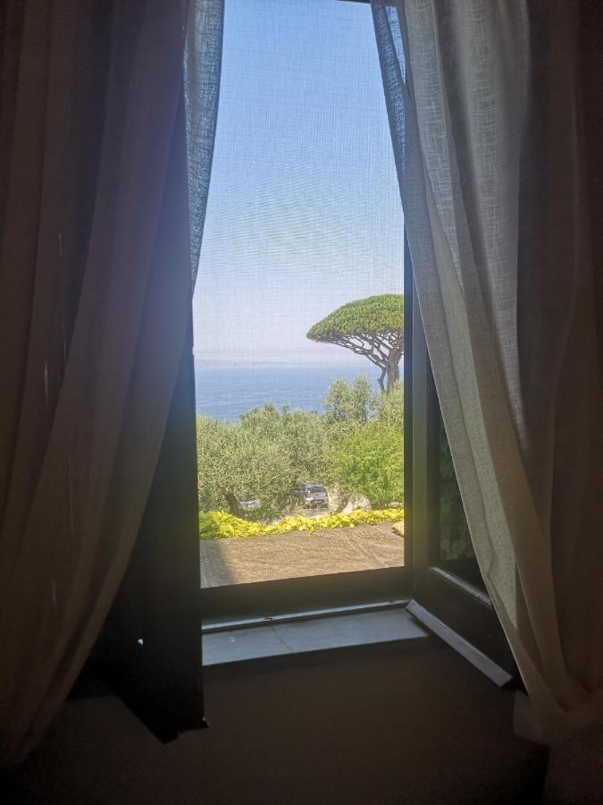 Agriturismo Il Giardino Di Vigliano Massa Lubrense Eksteriør billede