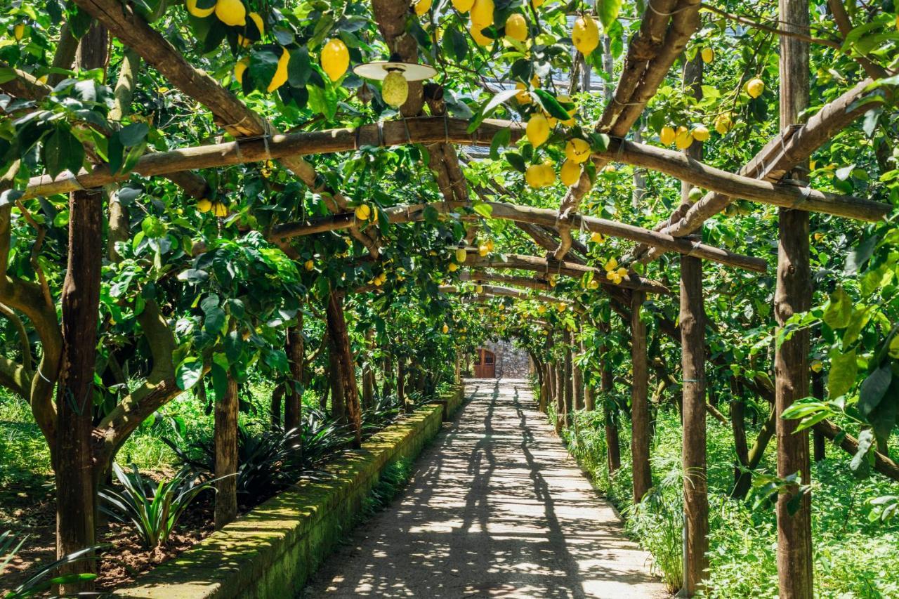 Agriturismo Il Giardino Di Vigliano Massa Lubrense Eksteriør billede