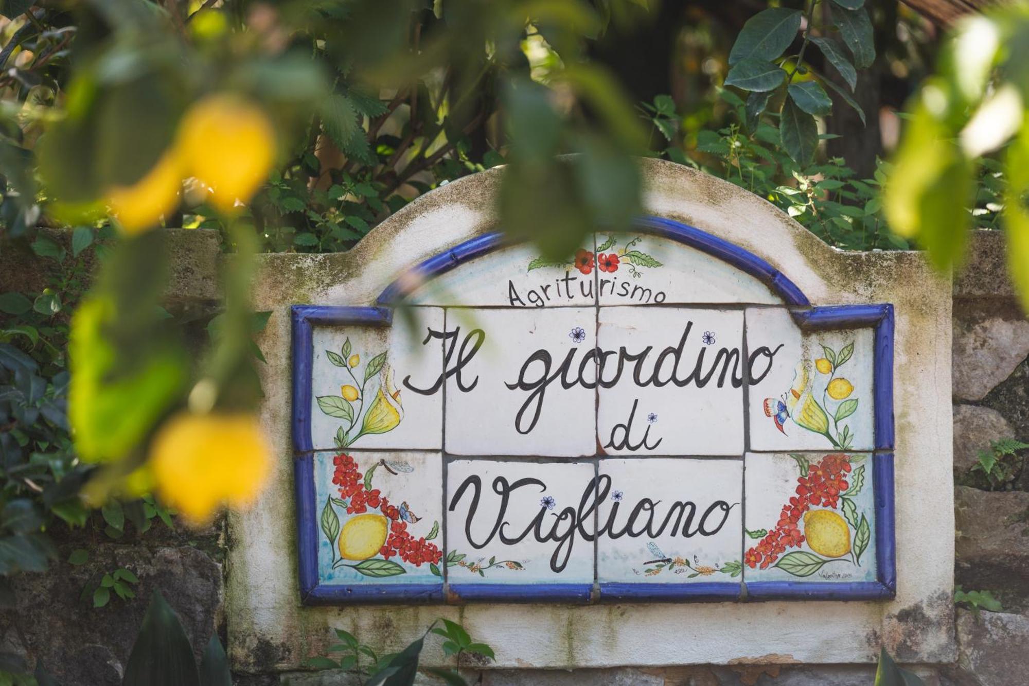 Agriturismo Il Giardino Di Vigliano Massa Lubrense Eksteriør billede